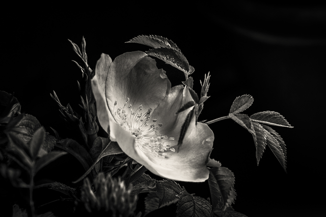 DSC_9404-3-WE.png