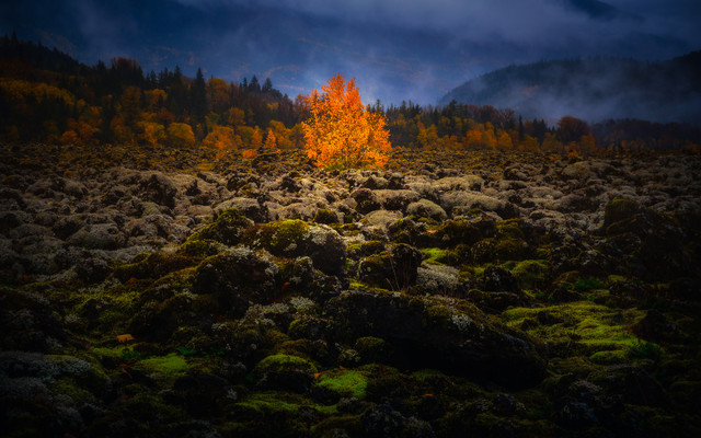 Nisgaa Lava