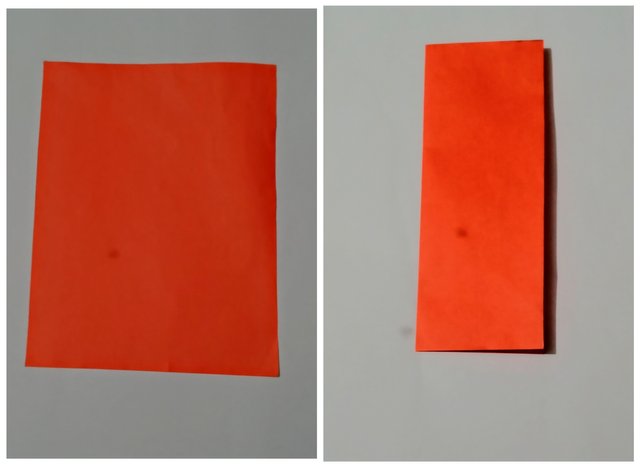 1666464280490.jpg