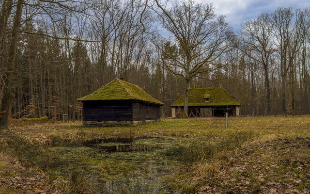 green_refuge1.jpg