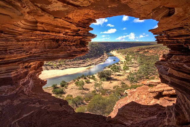 Nature Window