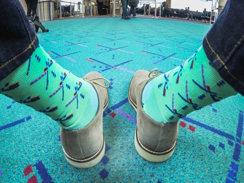 pdx0515-socks.jpg