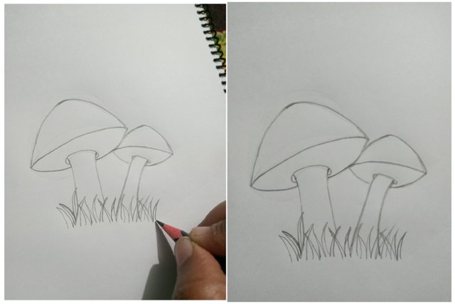 1703273169946.jpg