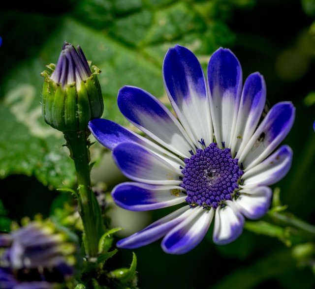 _DSC2822-Edit.jpg