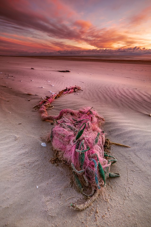 Pink-Creature.jpg