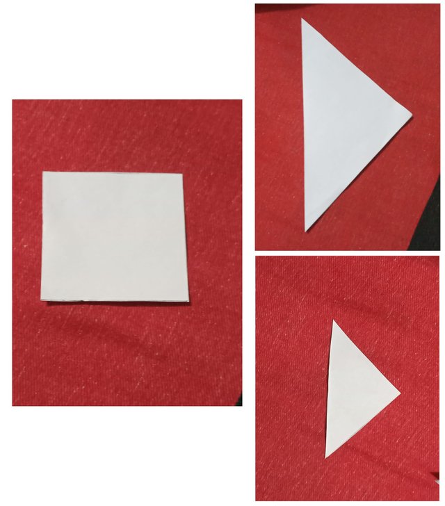 1704880235725.jpg