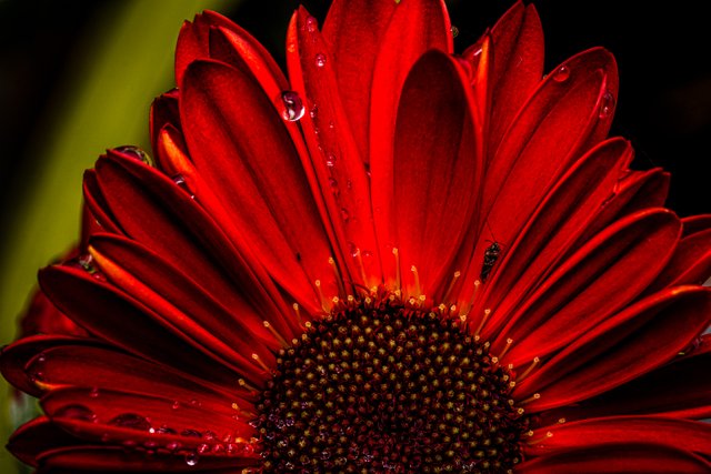 _DSC5127-Edit.jpg