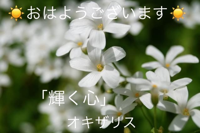 1642731181388.jpg