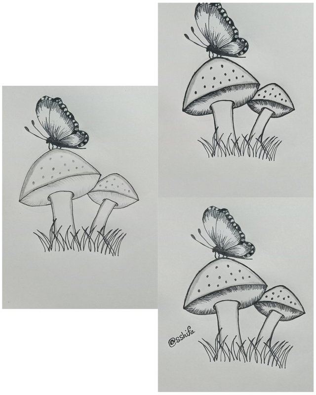 1703273748411.jpg