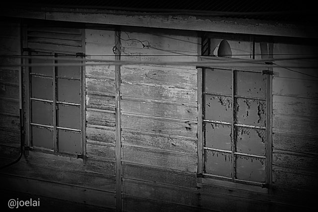 Windows B&W.jpg