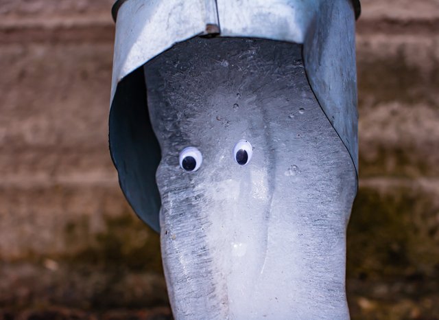 eyes-0356w-hs.jpg