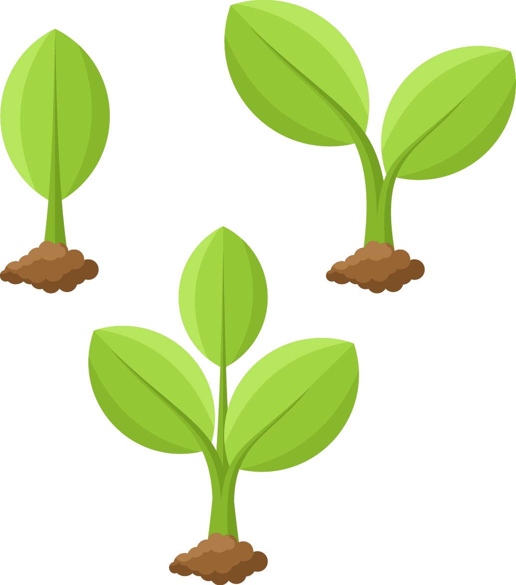 illustration-plant-growing