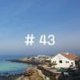 #43