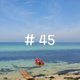 #45