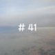 #41