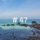 #47
