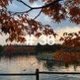 IMAGE 2021-12-20 18:25:50.jpg
