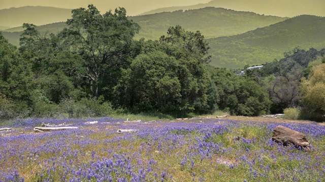 IMG_20180426_140606-found-inspirations-mountain-hills-forever-276.png