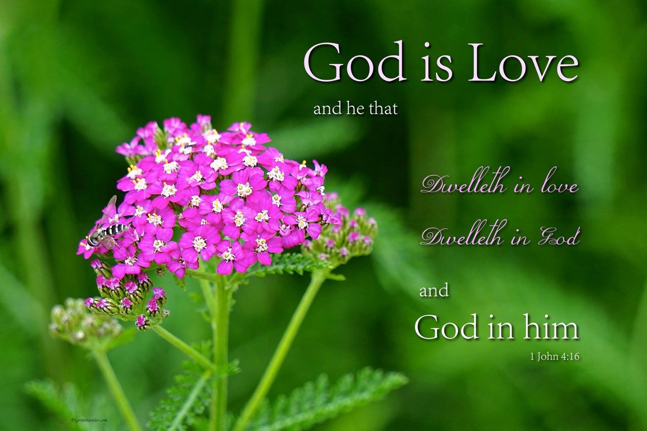 1 john 4 8. God is Love. Обои God is Love and he who Abides in Love Abides in God and God in him. God is Love pictures. God is Love, and he who Abides in Love Abides in God, and God in him..