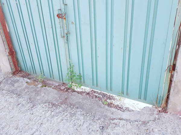 B612_20180603_170010_577.jpg