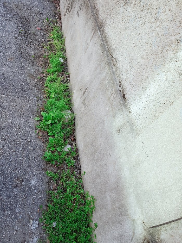 B612_20180603_165957_799.jpg