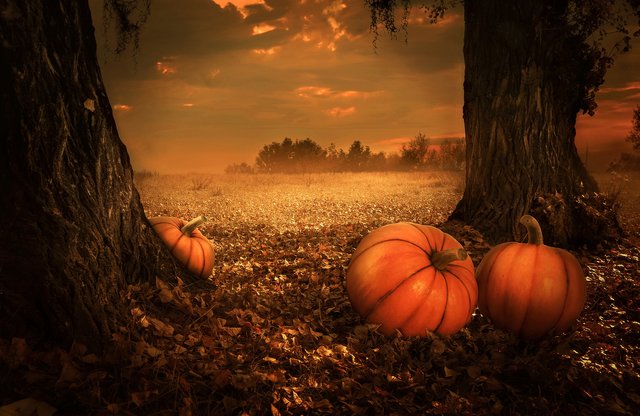pumpkins-g534763fe7_1920.jpg