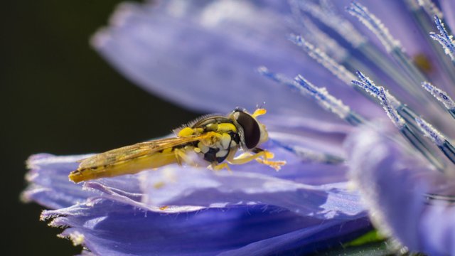 a6000-10-juli-2015-04311.jpg