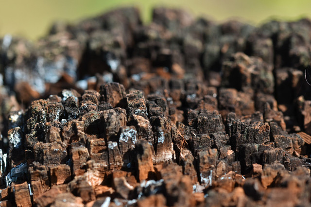rust wooden pole 2.jpg