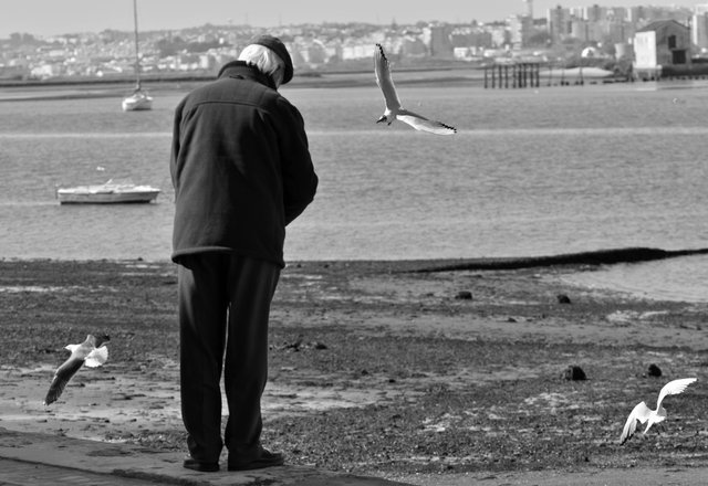 seagul feed man bw.jpg