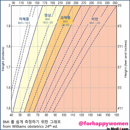 BMI 그림.jpg