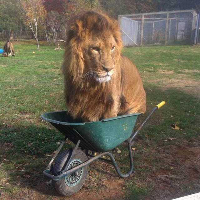 if i fits i sits.jpg