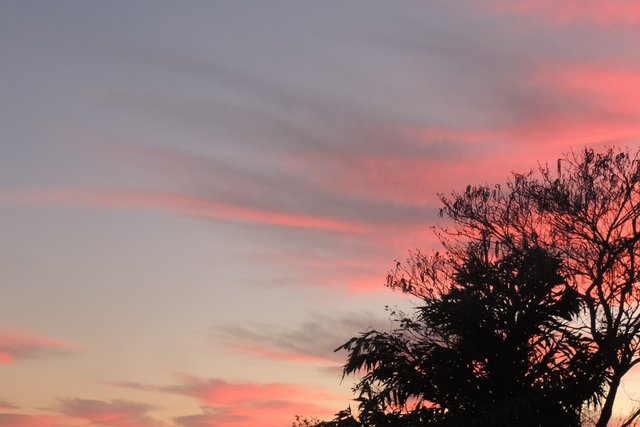 AMANECE 14AGOS18 007.JPG
