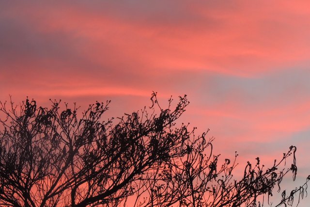 AMANECE 14AGOS18 009.JPG