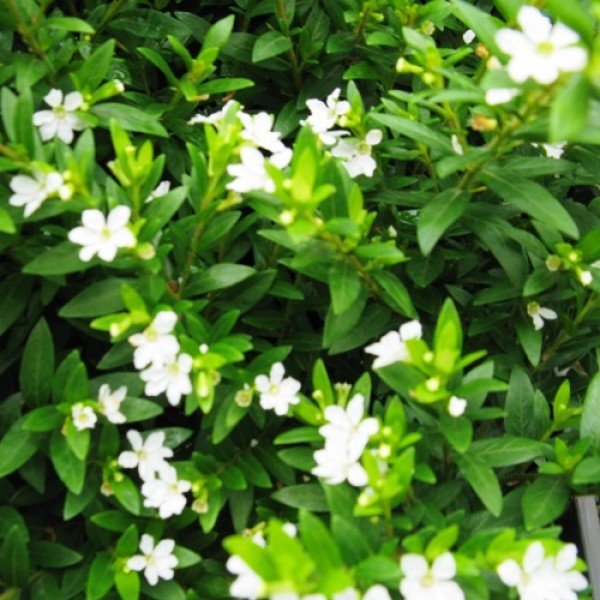 apo_tubestock_photos_099.jpg