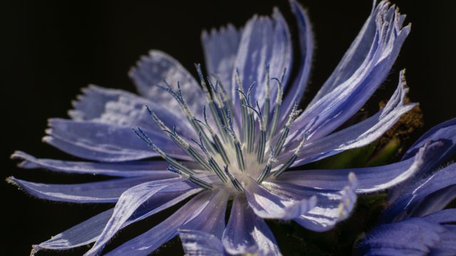 a6000-10-juli-2015-04352.jpg