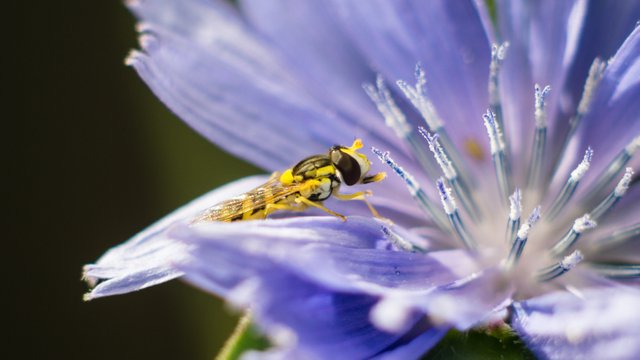 a6000-10-juli-2015-04295.jpg