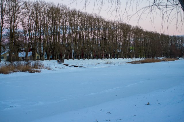 0044IMGP2744uusJanuary 18, 2019.jpg
