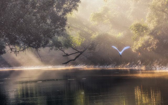 38592820391-good-morning-bangladesh.jpg