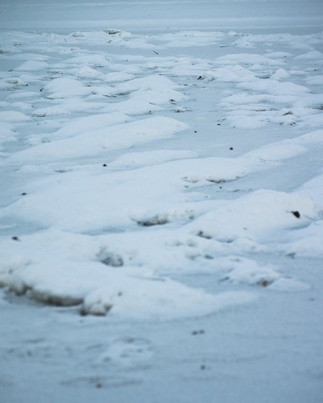 0033IMGP2707uusJanuary 18, 2019.jpg