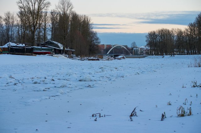 0035IMGP2712uusJanuary 18, 2019.jpg