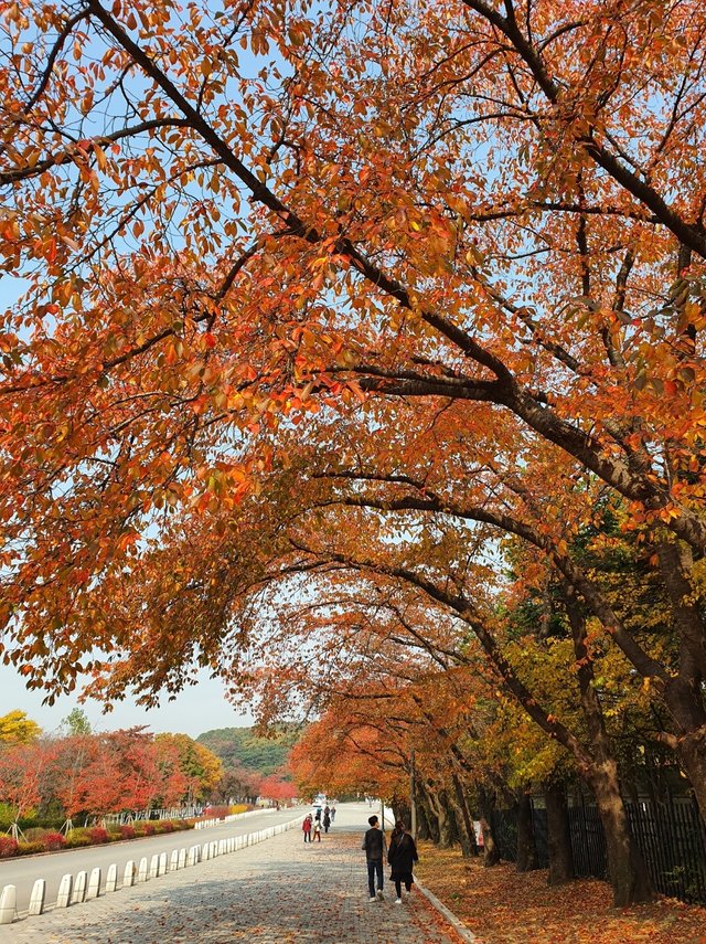 SmartSelect_20201029-170518_Gallery.jpg