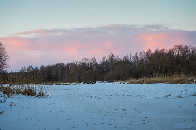 0034IMGP2710uusJanuary 18, 2019.jpg