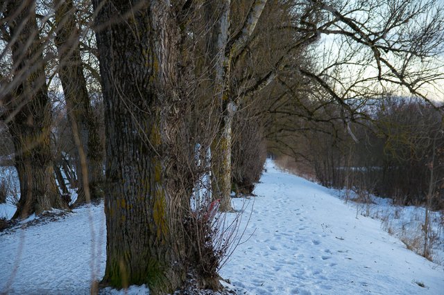 0027IMGP2686uusJanuary 18, 2019.jpg