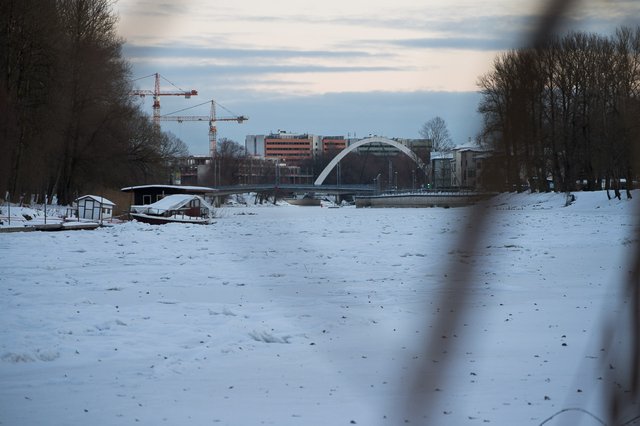 0039IMGP2719uusJanuary 18, 2019.jpg