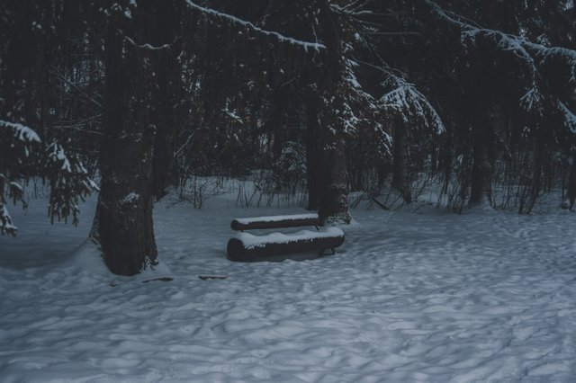 0013IMGP8713ccFebruary 04, 2019.jpg
