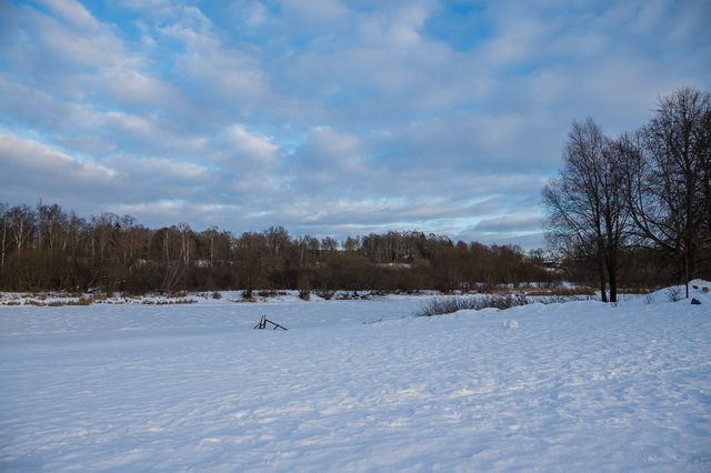 0020IMGP2474uusJanuary 18, 2019.jpg