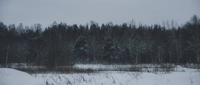 0002IMGP8646ccFebruary 04, 2019.jpg