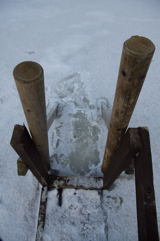0018IMGP2466uusJanuary 18, 2019.jpg
