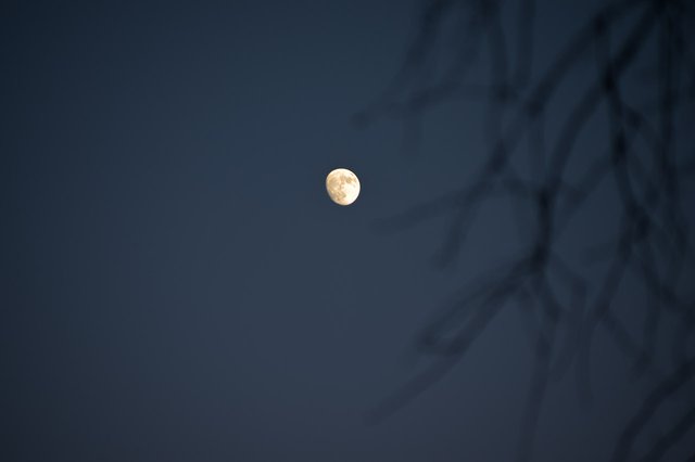 0045IMGP2745uusJanuary 18, 2019.jpg