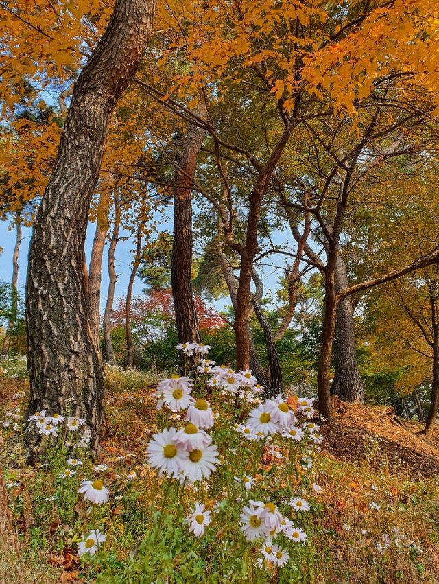 SmartSelect_20201029-170532_Gallery.jpg
